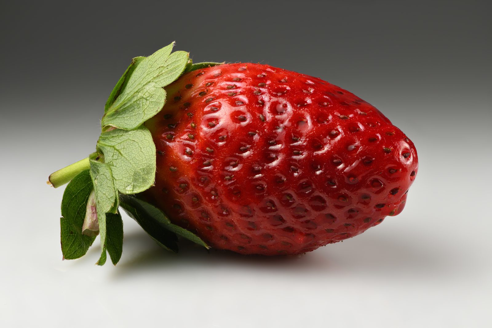 Everbearing Strawberry (Fragaria × ananassa 'Everbearing') plant